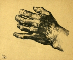 Sketch of the Hand