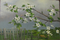 The apple-tree is flowering